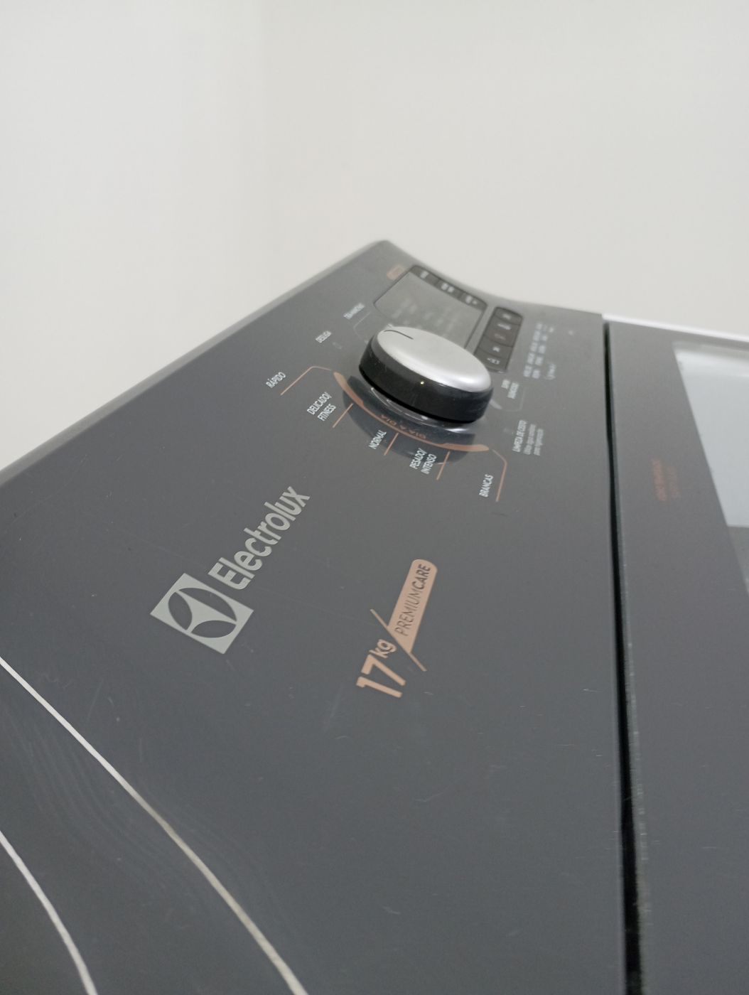 LAVADORA ELECTROLUX LEC17 17KG PREMIUM CARE C