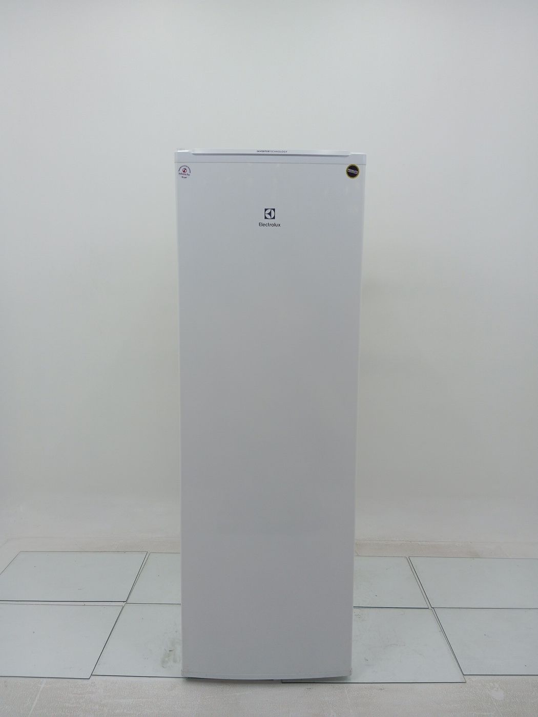 FREEZER ELECTROLUX FEI27 VERTICAL CYCLE DEFRO