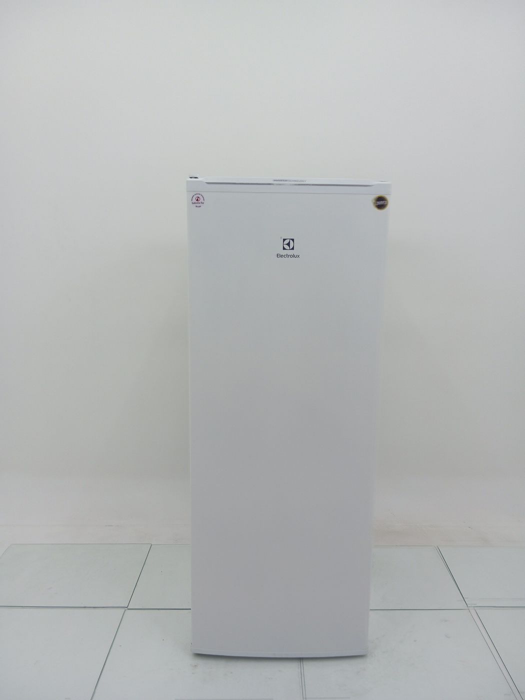 FREEZER ELECTROLUX  FEI23 FREEZER VERTICAL 19