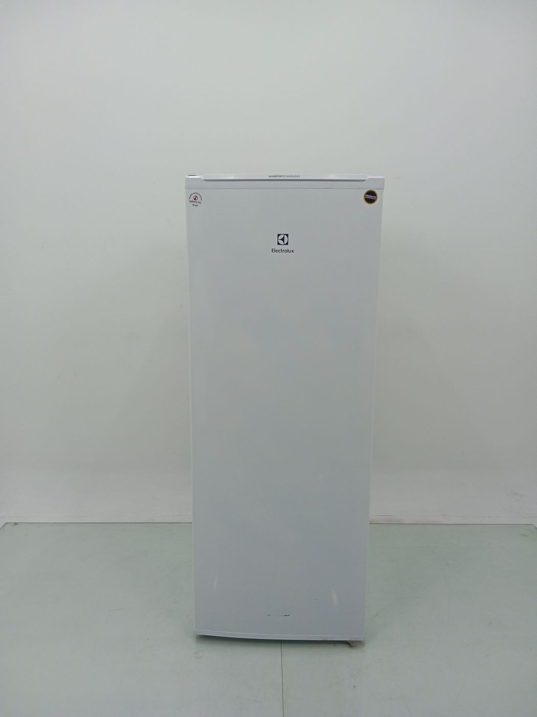 FREEZER ELECTROLUX VERTICAL FEI23 CYCLE DEFRO