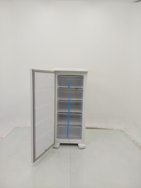 FREEZER ELECTROLUX FE19- VERTICAL CYCLE DEFRO